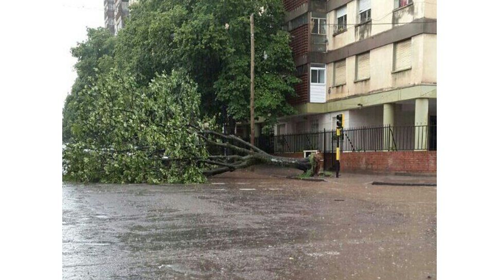 Lluvia