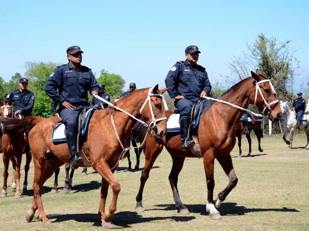 Nuevos caballos para la fuerza