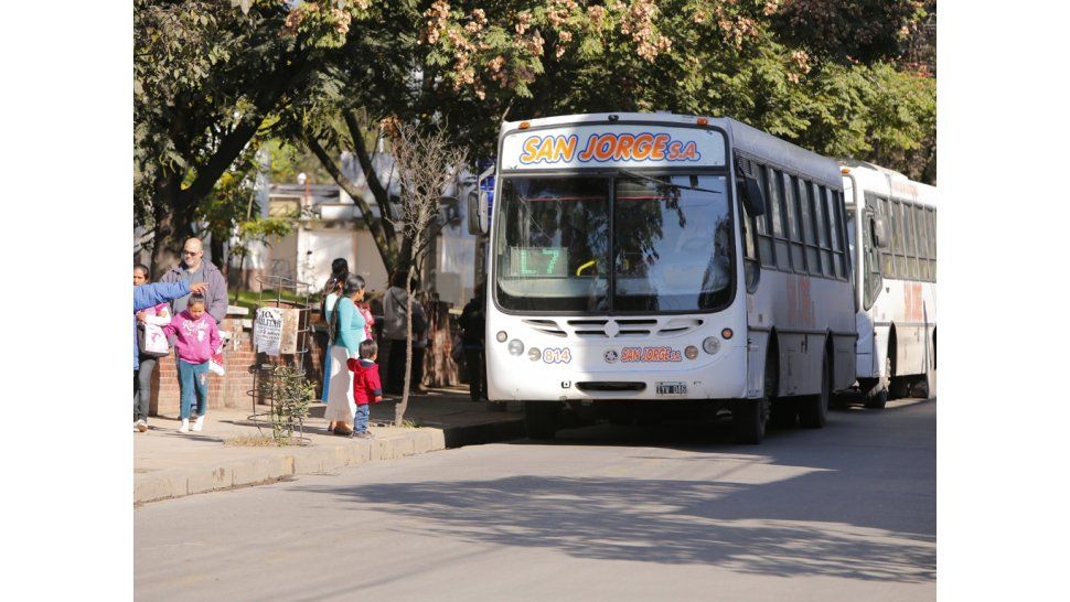Colectivos