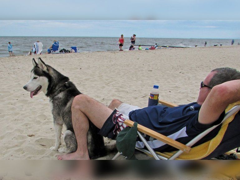 Playa canina: el balneario Yes!