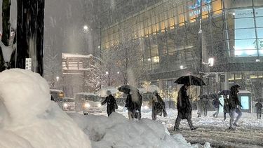 Japón: ascienden a 17 las muertes por fuertes nevadas.&nbsp;