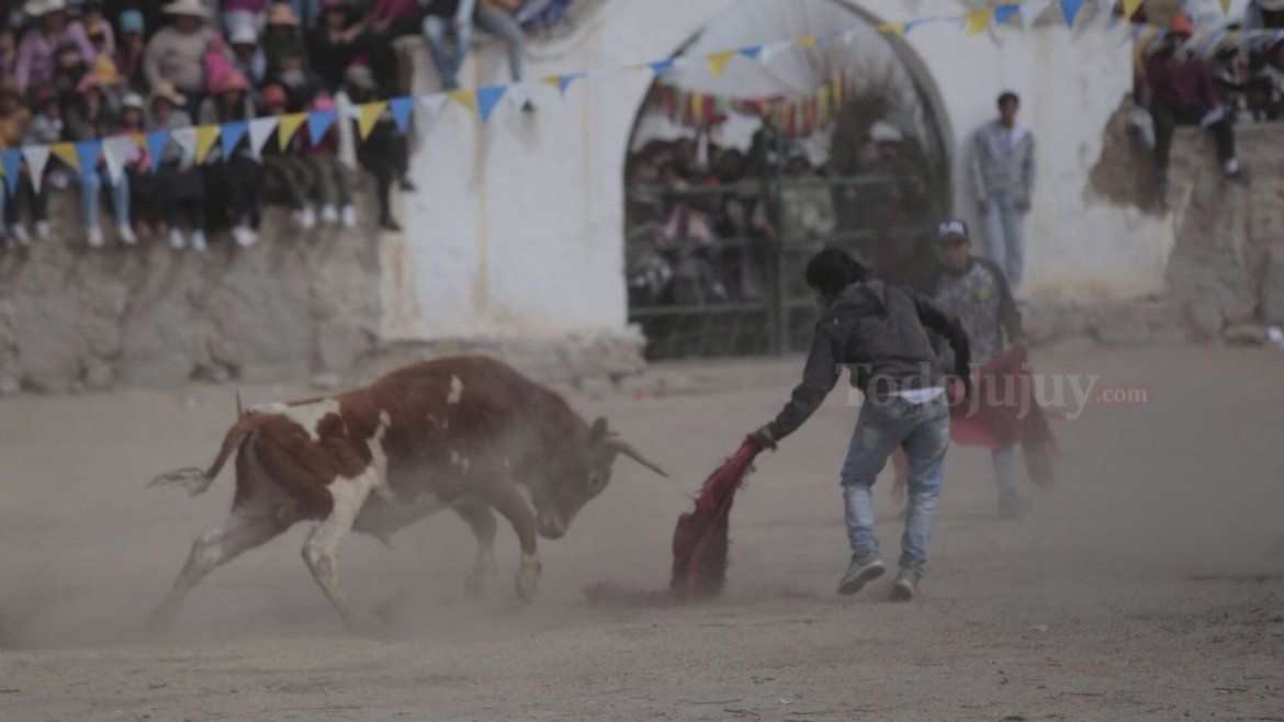 Todo Jujuy | 11.jpg