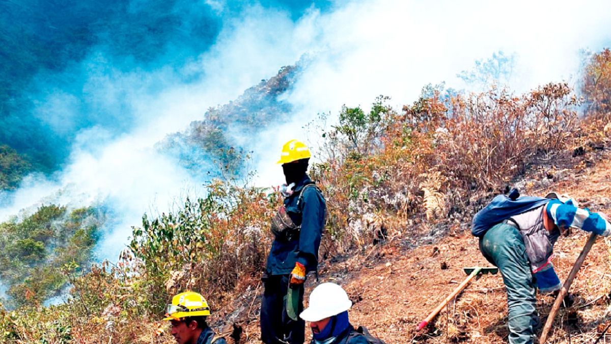 Bolivia: el Parque Nacional Cotapata arde desde hace 9 días&nbsp;