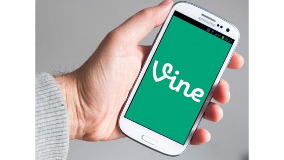 Vine