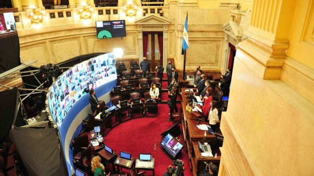 El Senado Aprobó 20 Dnu En La Primera Sesión Virtual 7137