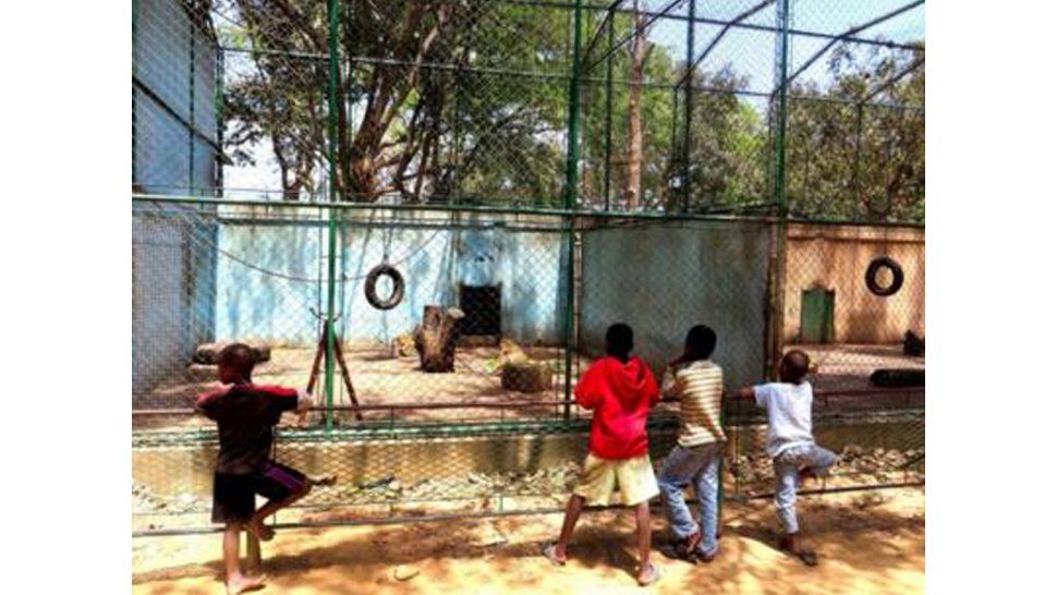 Zoo de Mozambique