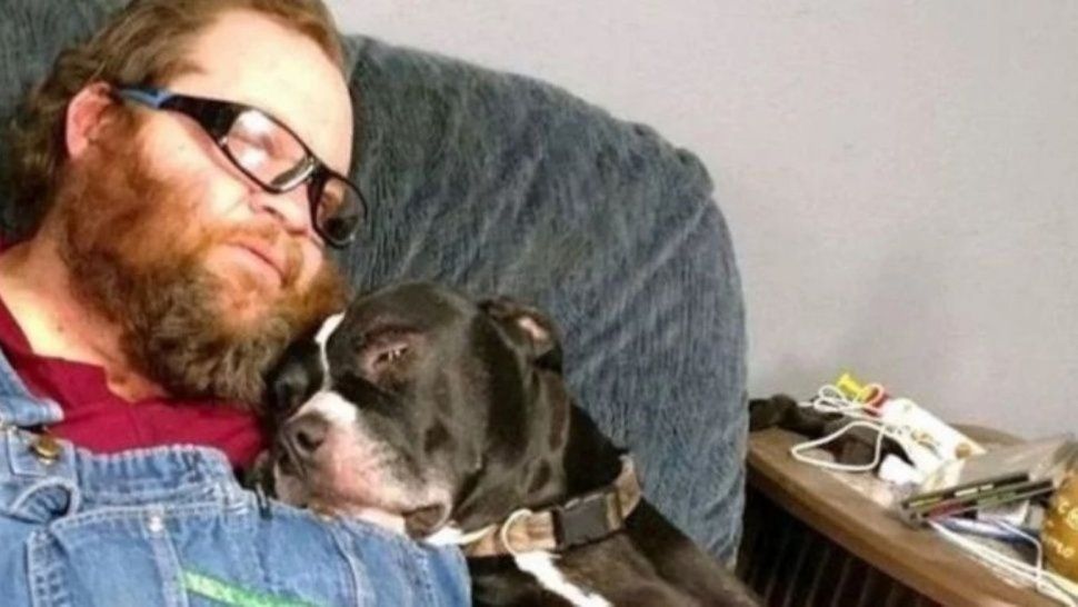Sin rencores, perro y hombre ya están juntos otra vez