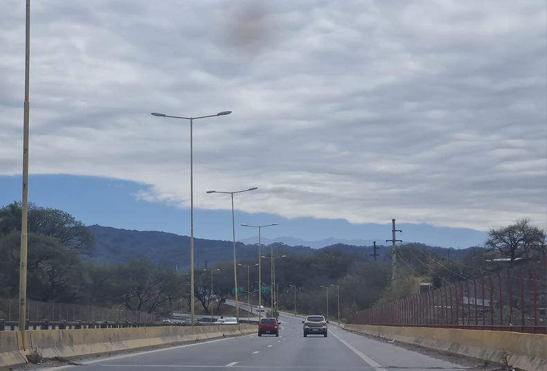 Ruta (1)