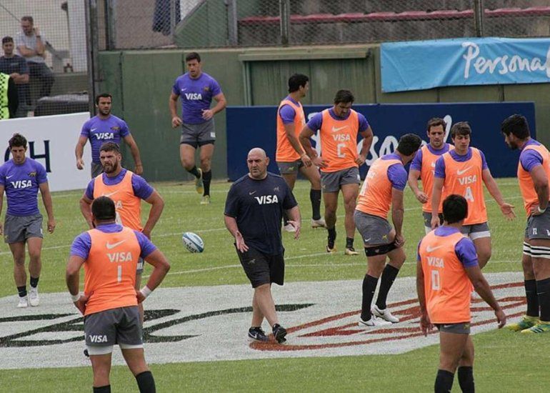 pumas.jpg