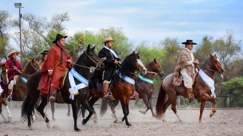 Todo Jujuy | Concurso Provincial de Caballo Peruano de Paso en Jujuy (Archivo)