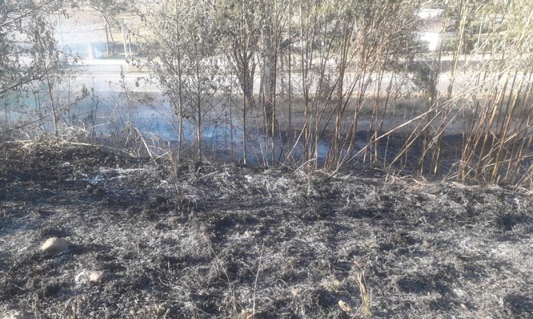 Incendios forestales atemorizaron a vecinos de San Salvador de Jujuy