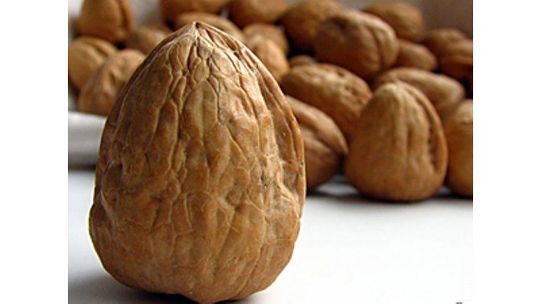 Nueces