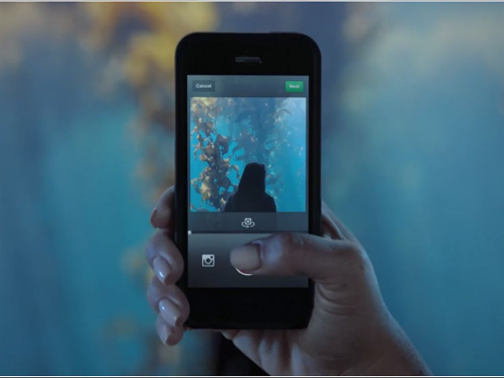 Para las fotos de los productos  Apple