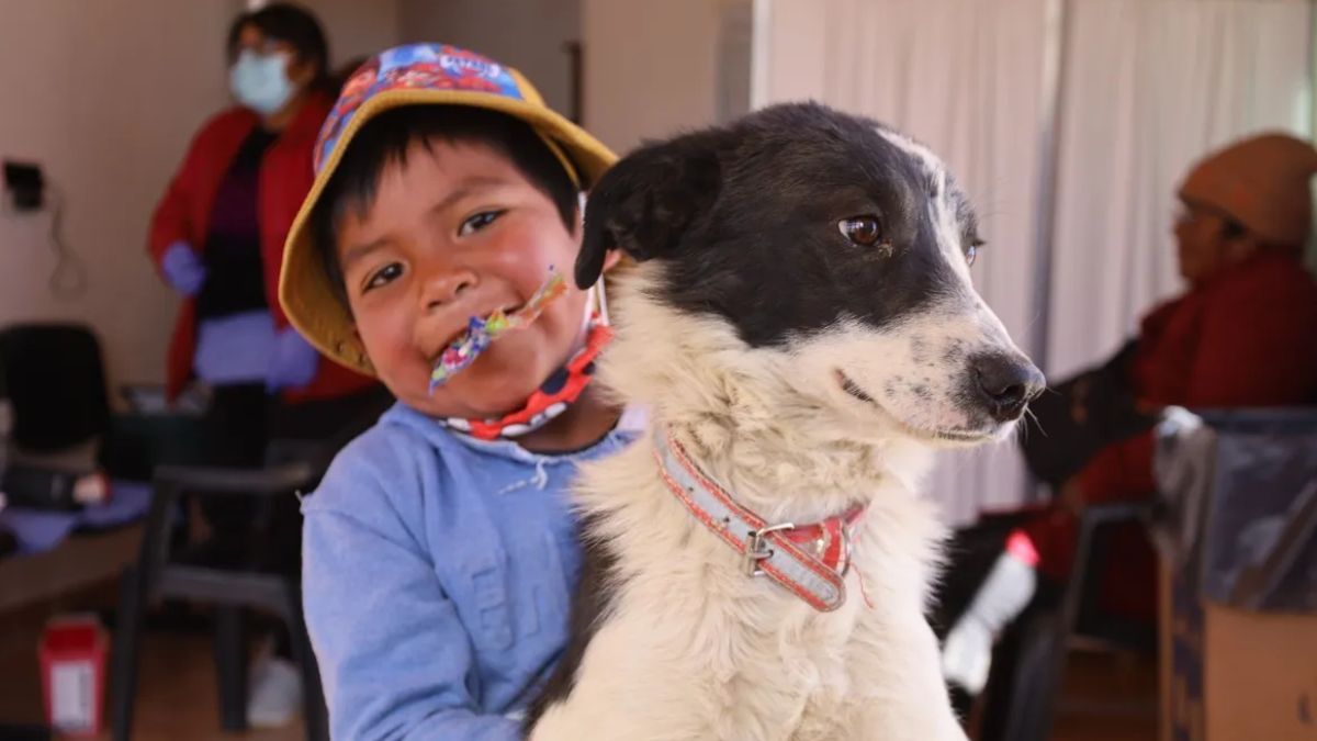 Semana contra la rabia vacunarán en toda la provincia