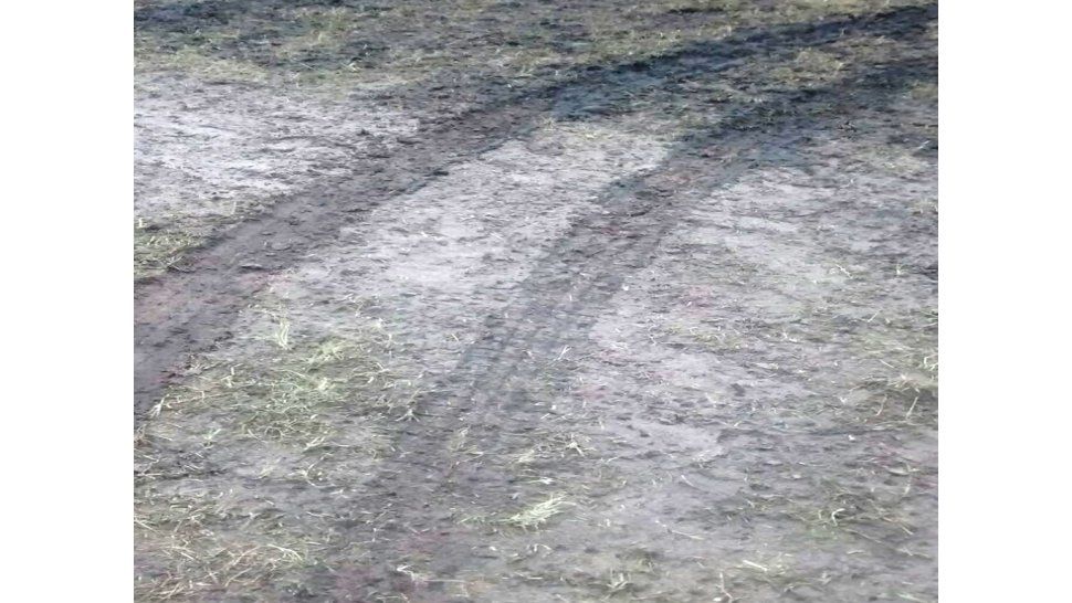 Daños en la cancha
