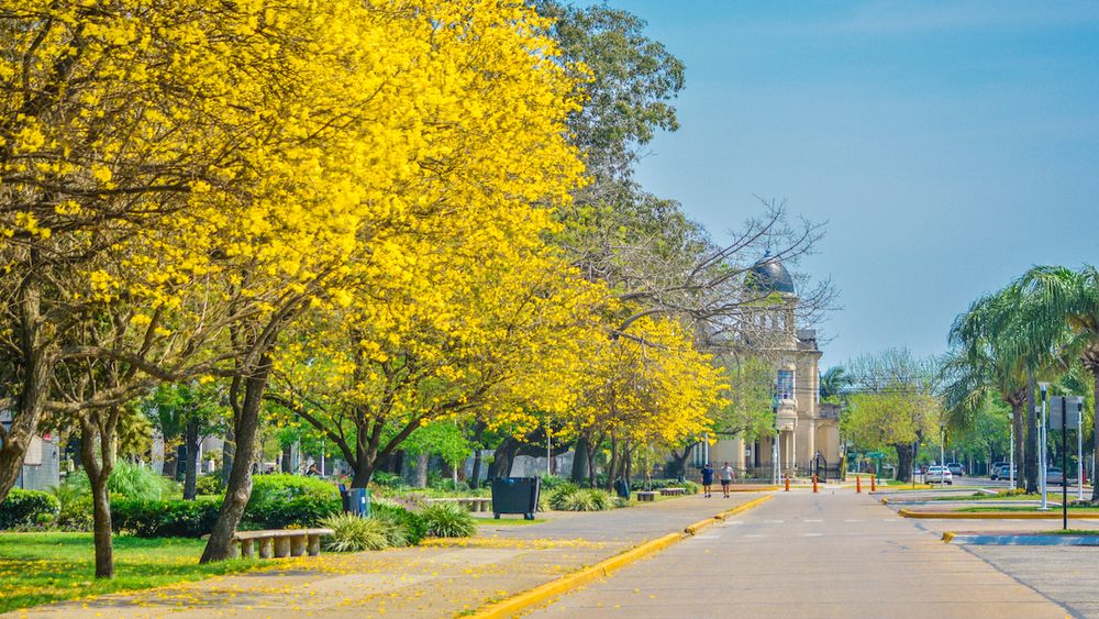 La forma más habitual de acceder a esta encantadora opción es recorrer la Ruta Nacional 11.