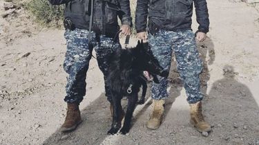 Un can de la división de La Quiaca ayudó a rescatar a dos personas perdidas en Tilcara
