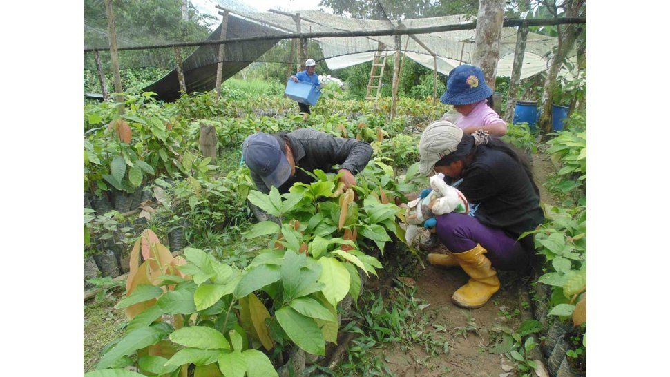 Producción agrícola