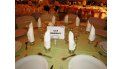 Cena Blanca 2014