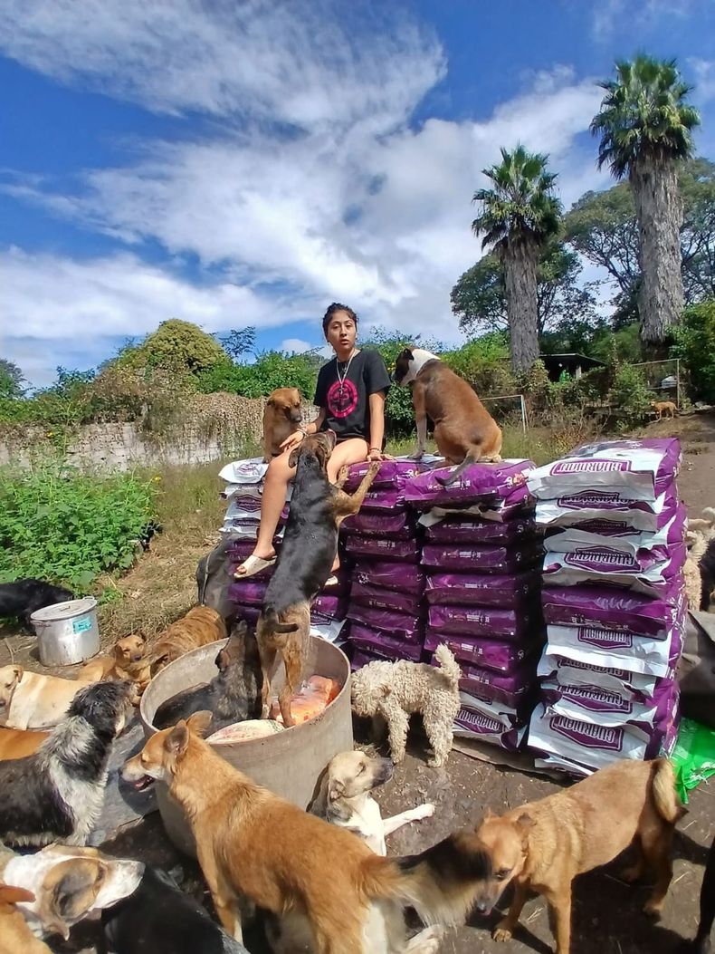 Una tarea que lleva mucho compromiso y dolor por el maltrato animal.