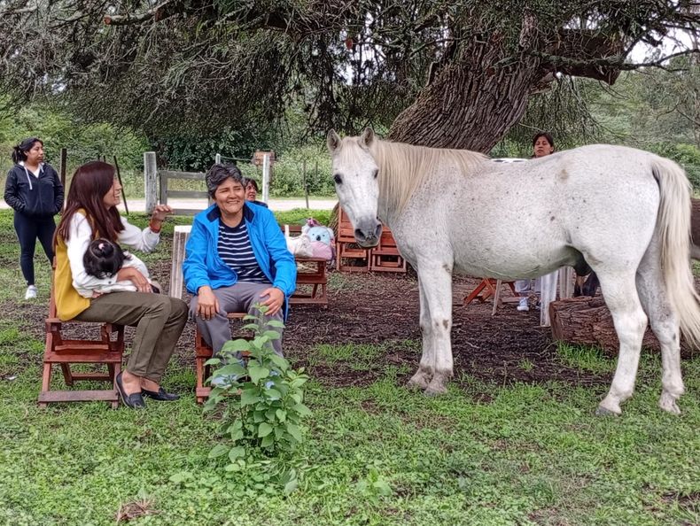 Fundación Jujeña de Equinoterapia. Fundación Jujeña de Equinoterapia.