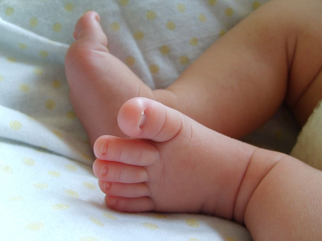 bebé