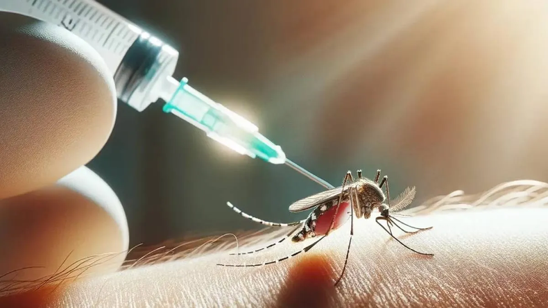 Más de 6 mil dosis de la vacuna contra dengue fueron aplicadas