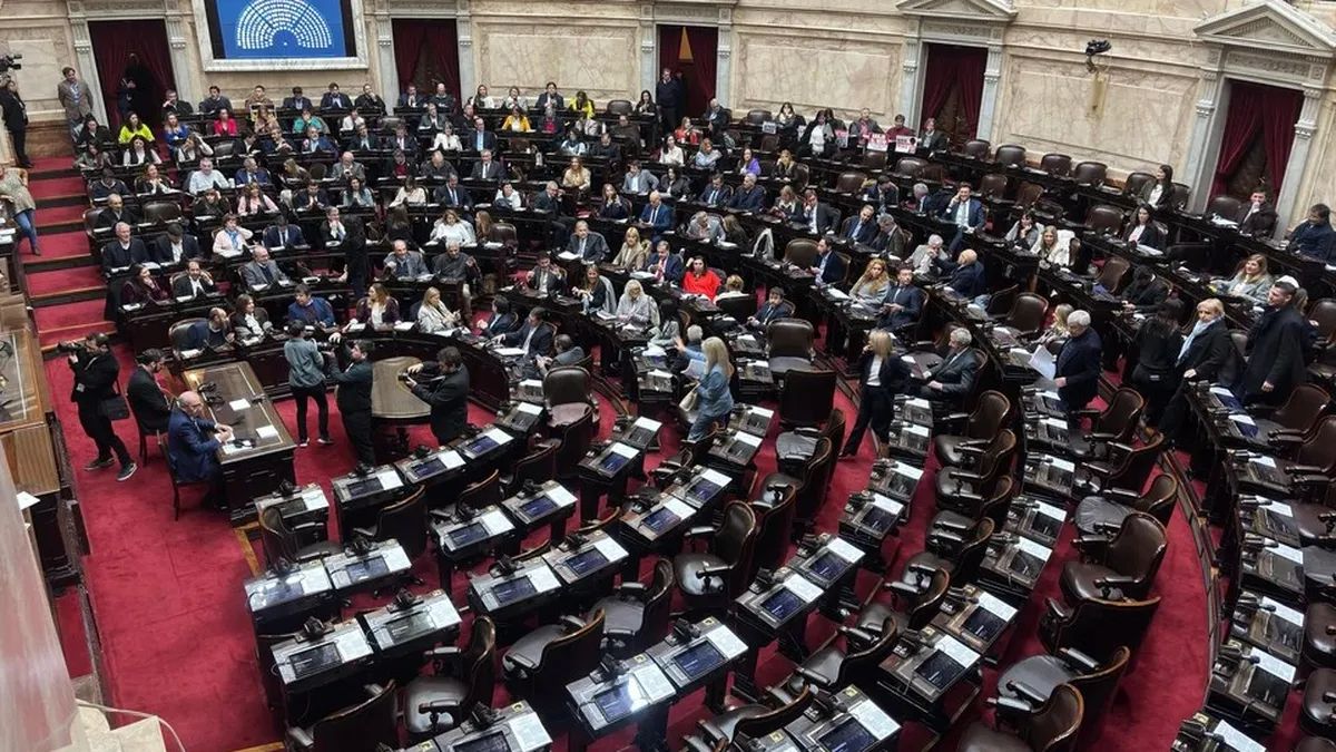 Diputados confirmó la megasesión del miércoles 20 de agosto para tratar los vetos de Javier Milei. &nbsp;