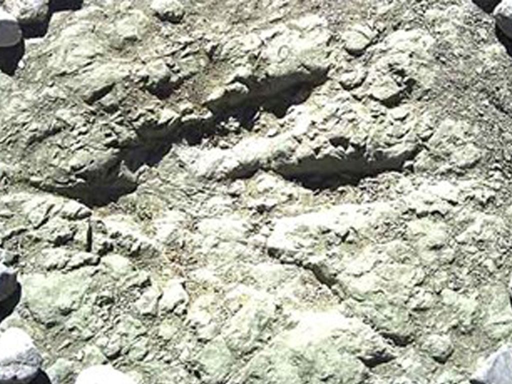 Huellas de dinosaurios