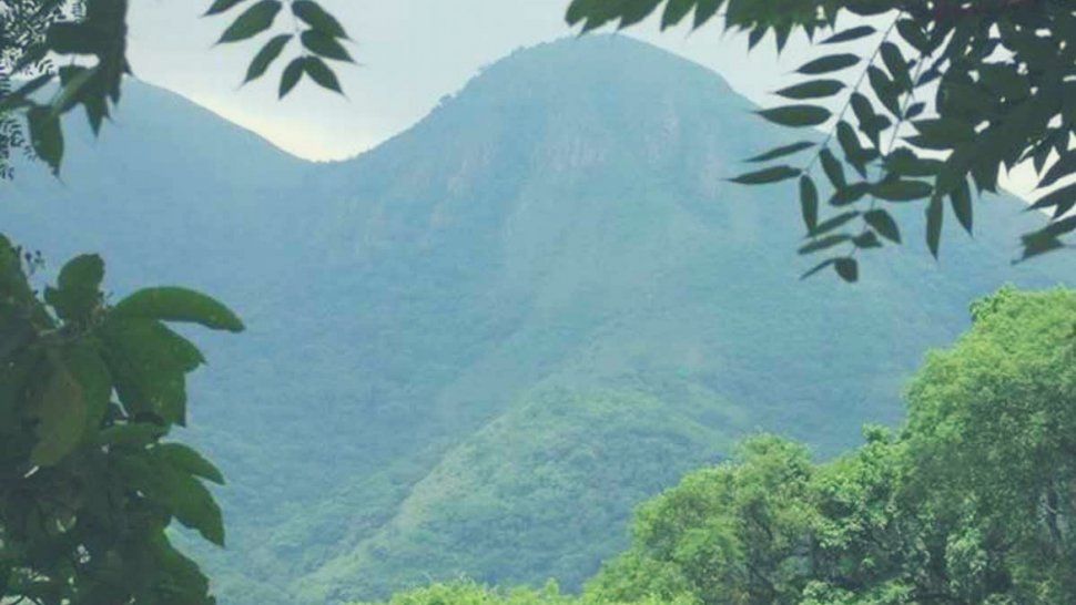 Trail de las Yungas: 30 de septiembre en el Parque Nacional Calilegua