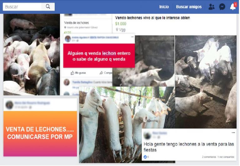 Venta de alimentos en redes sociales