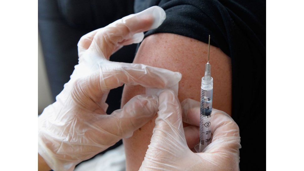 Fiebre amarilla: quienes deben vacunarse