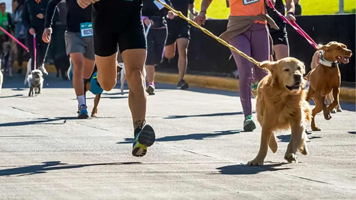 este sabado se realiza el 1° perroton la quiaca 2026 en plaza centenario