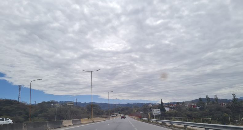 Ruta (2)