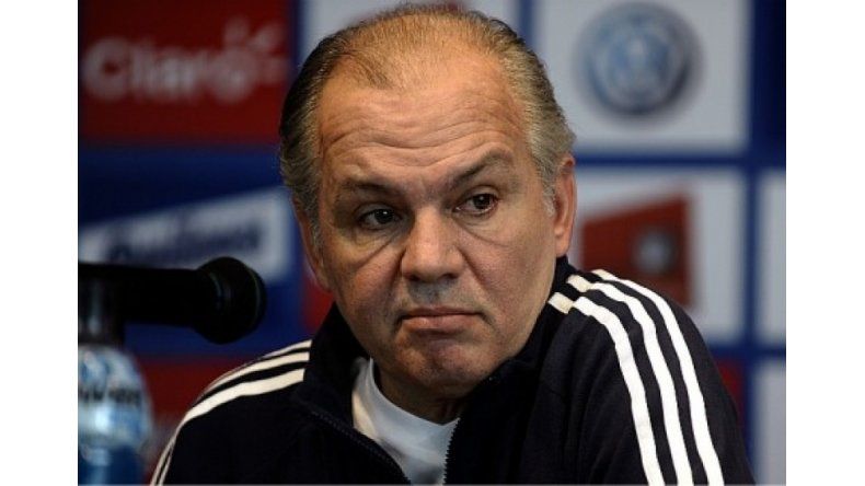 Sabella