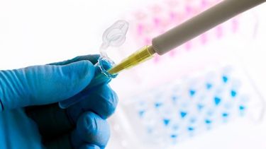 Dos estudios indican que un mercado animal en la ciudad china de Wuhan fue el lugar donde se originó la pandemia de Covid-19.