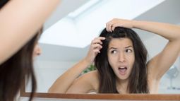 Cuáles son los alimentos para combatir los piojos.&nbsp;