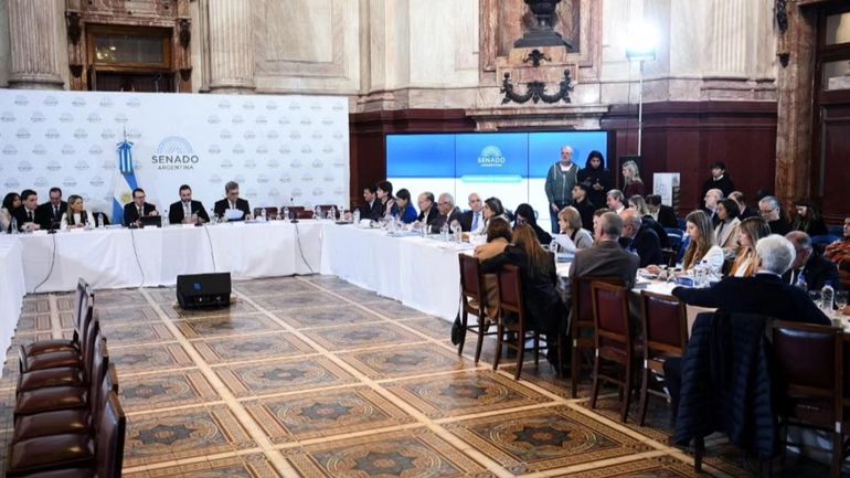 Ezequiel Atauche, senador de la Libertad Avanza, en el debate en el Senado