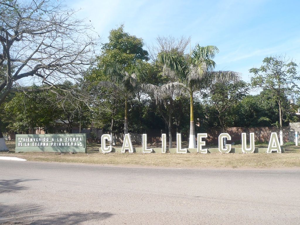 Calilegua