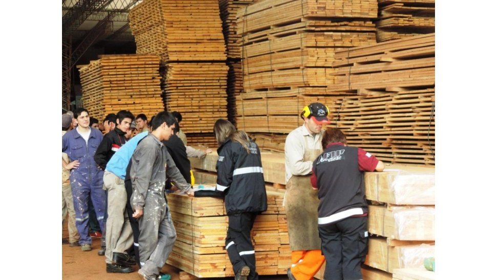 Acciones en empresa forestal