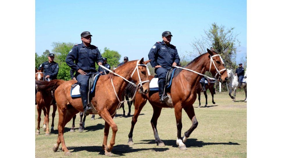 Nuevos caballos para la fuerza