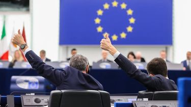 El Parlamento europeo frenó el acuerdo entre la Unión Europea y el Mercosur