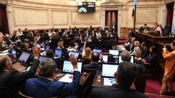 El Senado comienza a tratar hoy en comisión el Presupuesto 2023.