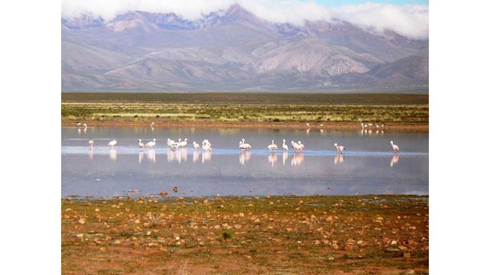 Laguna de Pozuelos