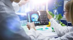 Un nuevo descubrimiento permitirá hallar tratamientos para combatir enfermedades degenerativas como el Alzheimer.